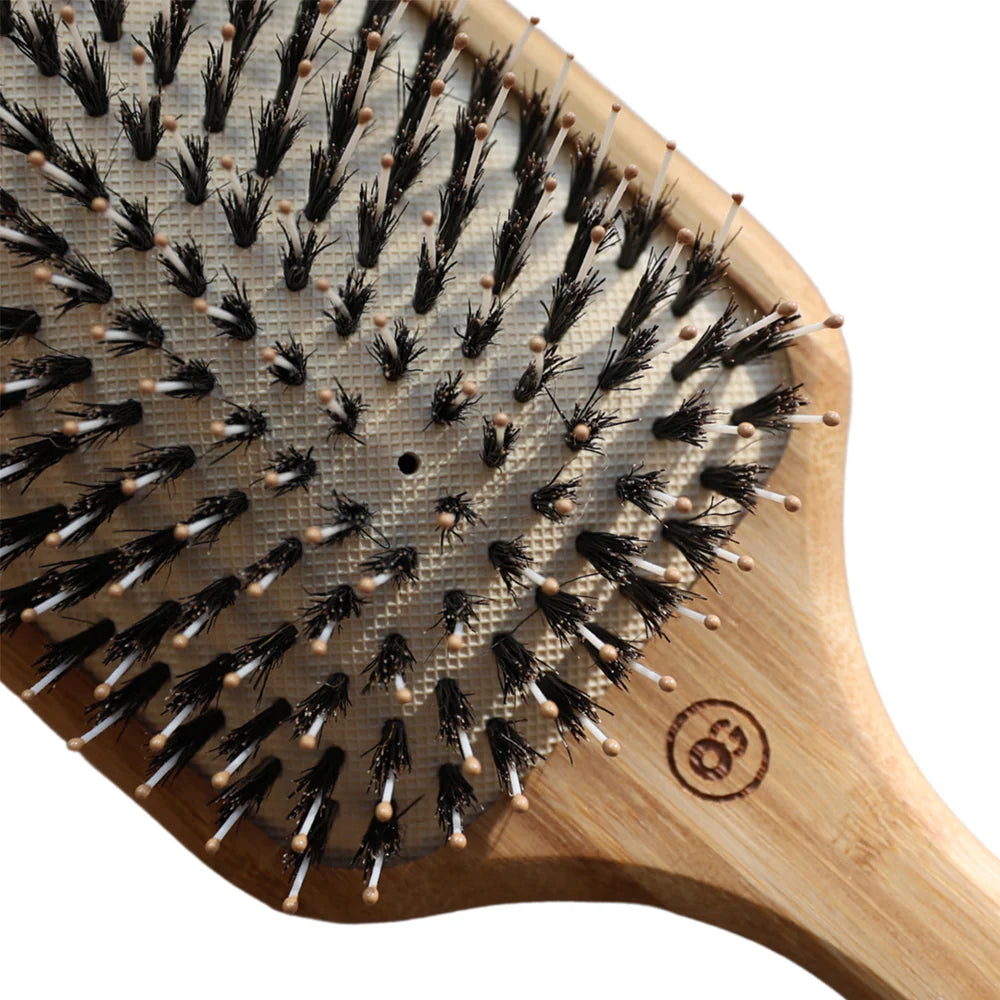 Ionic Styling Brush Paddle