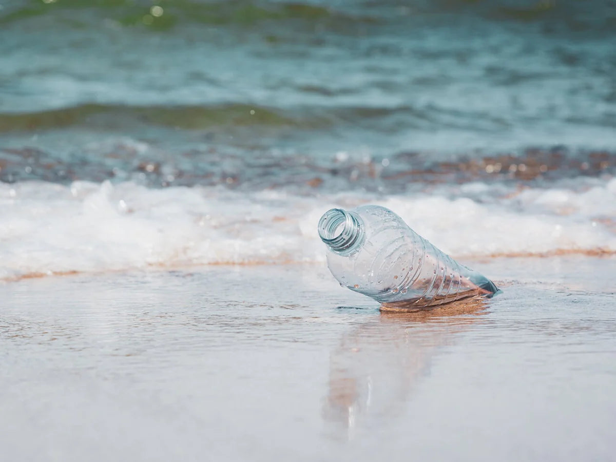 fjern plast fra havet med ZENZ og Ocean Waste Plastic